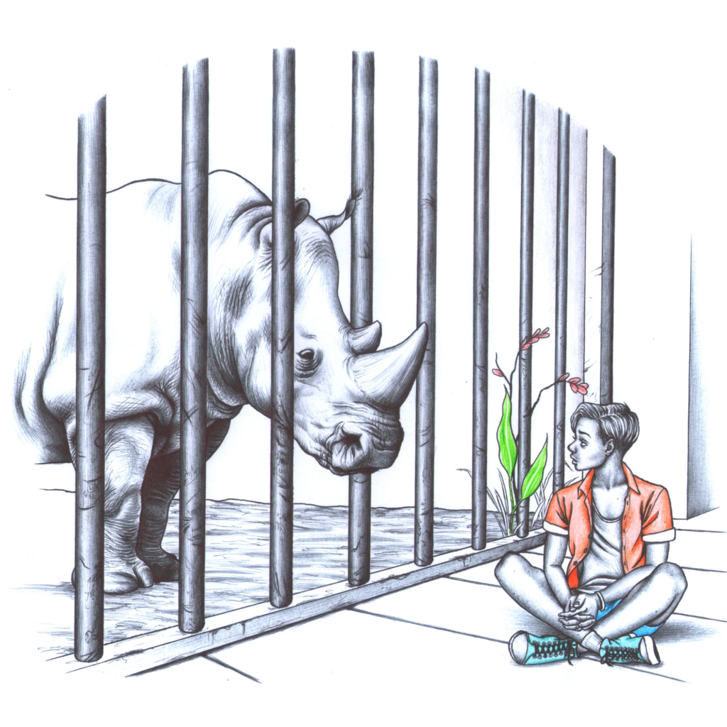 Ilustração do livro. O personagem conversa com o Rinoceronte Frederico através da jaula do zoológico.